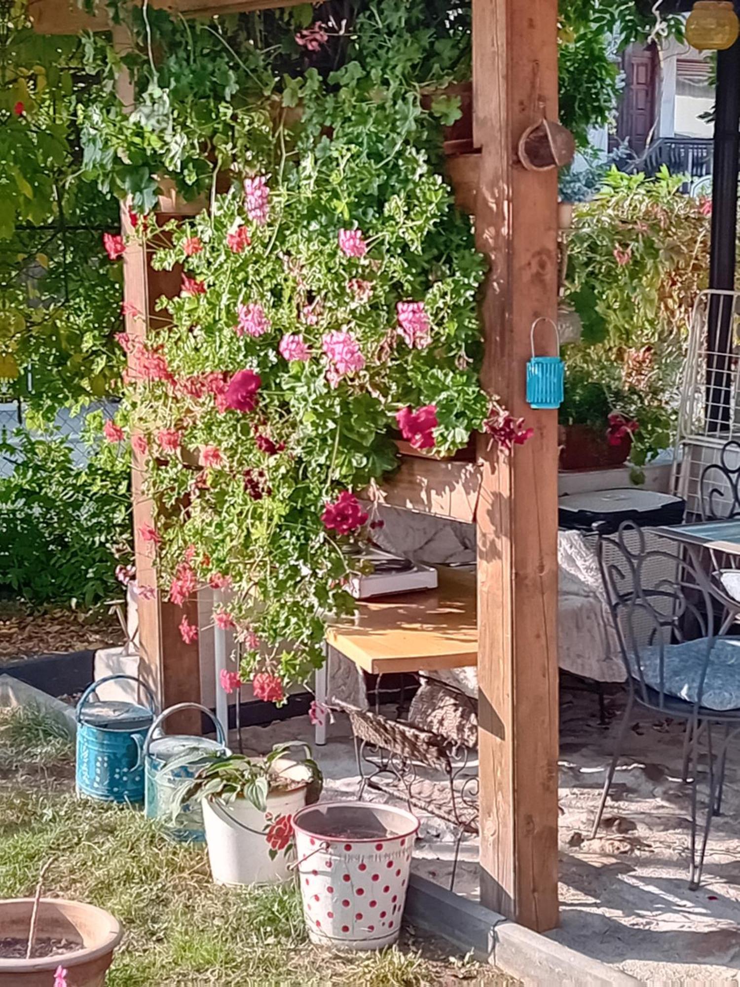 Rose Room 40M2 With Terrace 25M2 In Greeny Area For 4 Person Lublaň Exteriér fotografie