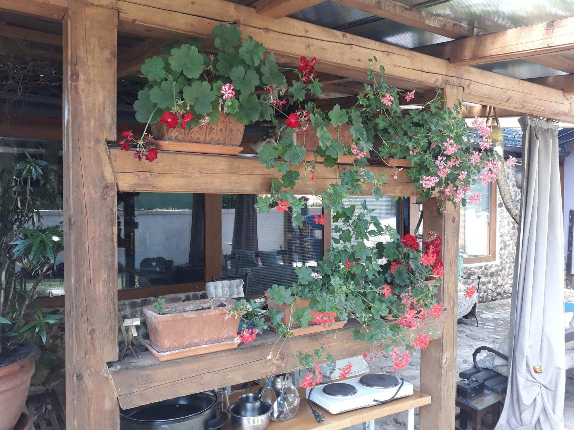 Rose Room 40M2 With Terrace 25M2 In Greeny Area For 4 Person Lublaň Exteriér fotografie
