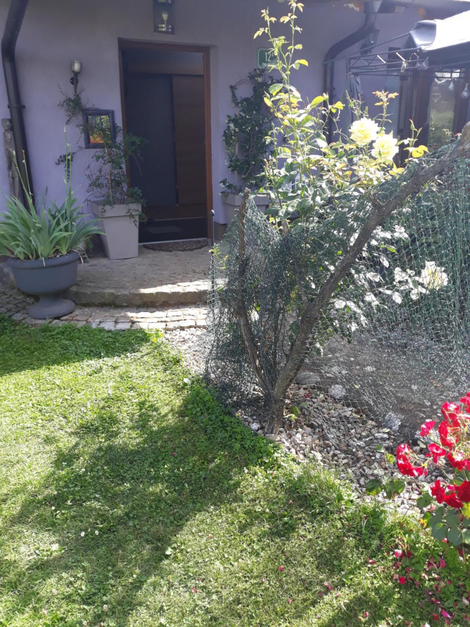 Rose Room 40M2 With Terrace 25M2 In Greeny Area For 4 Person Lublaň Exteriér fotografie