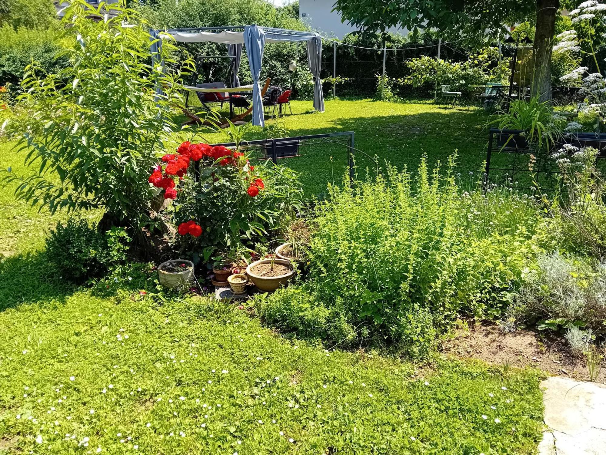 Rose Room 40M2 With Terrace 25M2 In Greeny Area For 4 Person Lublaň Exteriér fotografie