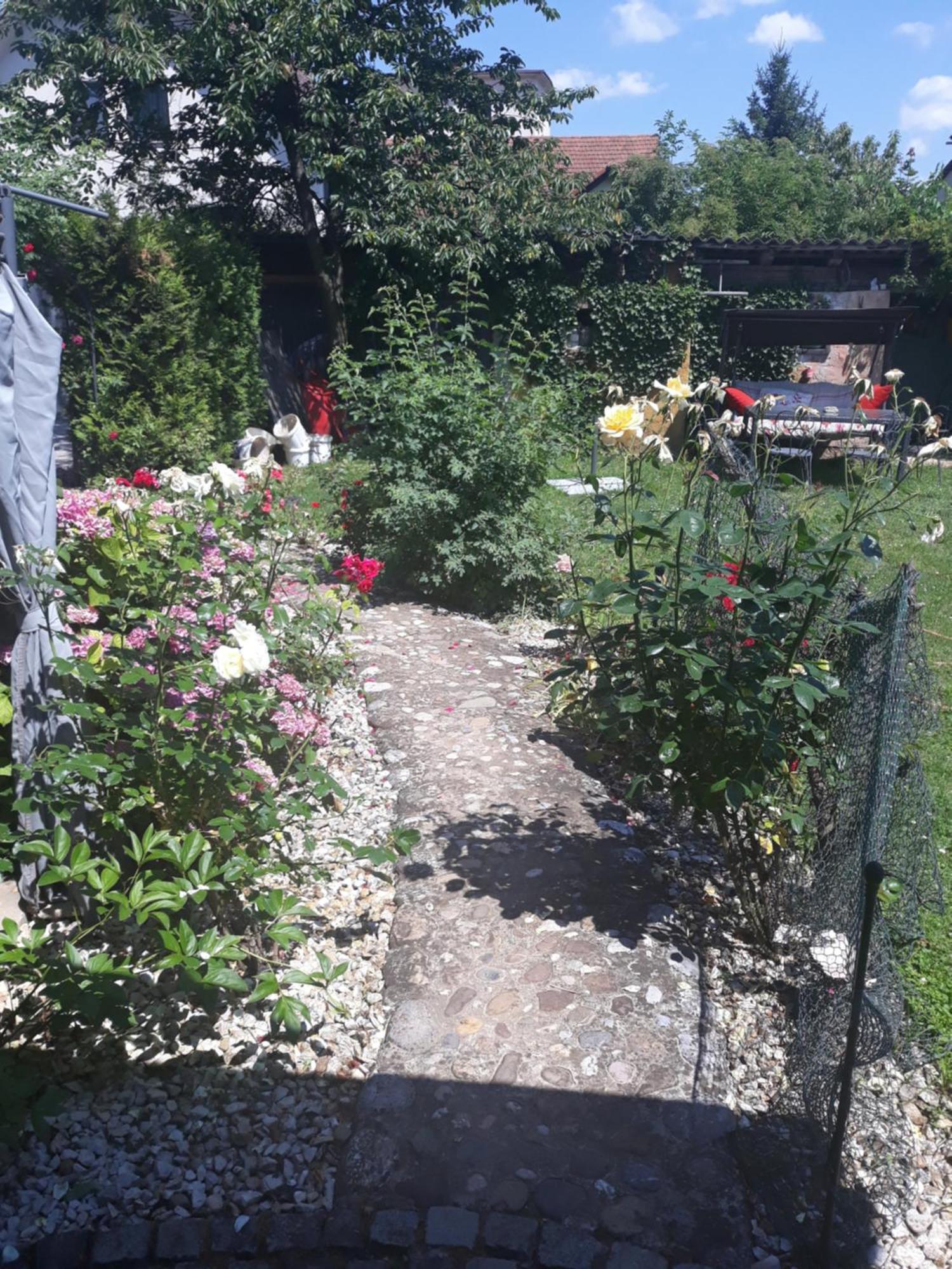 Rose Room 40M2 With Terrace 25M2 In Greeny Area For 4 Person Lublaň Exteriér fotografie