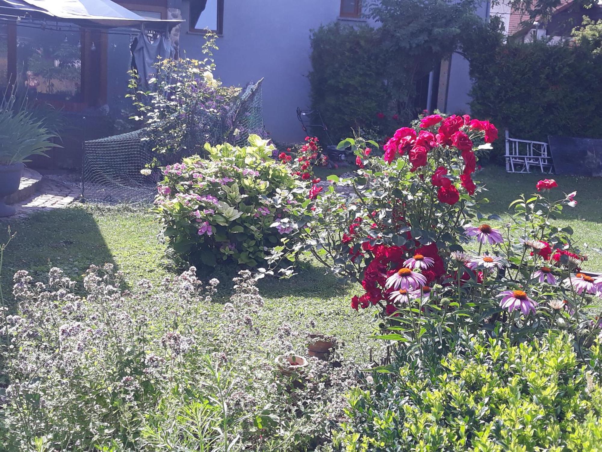 Rose Room 40M2 With Terrace 25M2 In Greeny Area For 4 Person Lublaň Exteriér fotografie