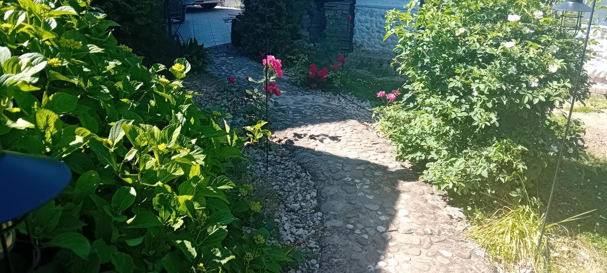 Rose Room 40M2 With Terrace 25M2 In Greeny Area For 4 Person Lublaň Exteriér fotografie